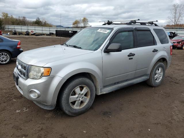 2010 FORD ESCAPE XLT, 