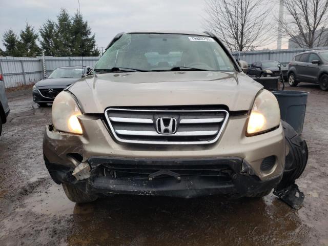 JHLRD78936C807601 - 2006 HONDA CR-V SE TAN photo 5