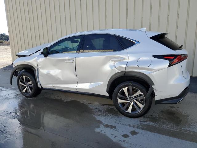 JTJGARBZ2M5032465 - 2021 LEXUS NX 300 BASE Ağ foto 2
