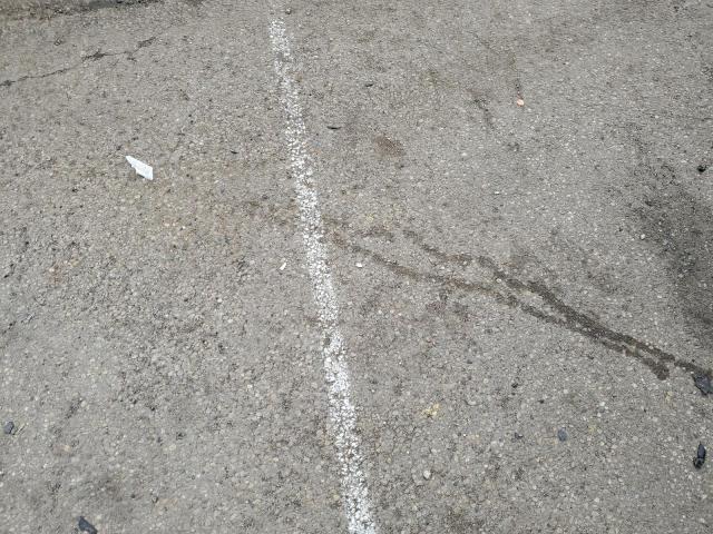 1LNHM87A72Y698353 - 2002 LINCOLN LS Qara foto 13