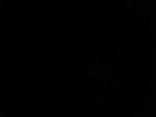 1TDH42225HB154785 - 2017 TIMP HOPPER TRL 银色 照片 7