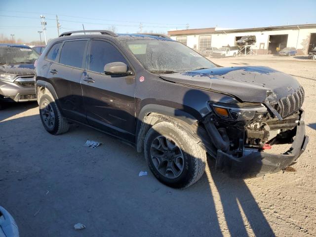 1C4PJMBX4LD515691 - 2020 JEEP CHEROKEE TRAILHAWK GRAY photo 4