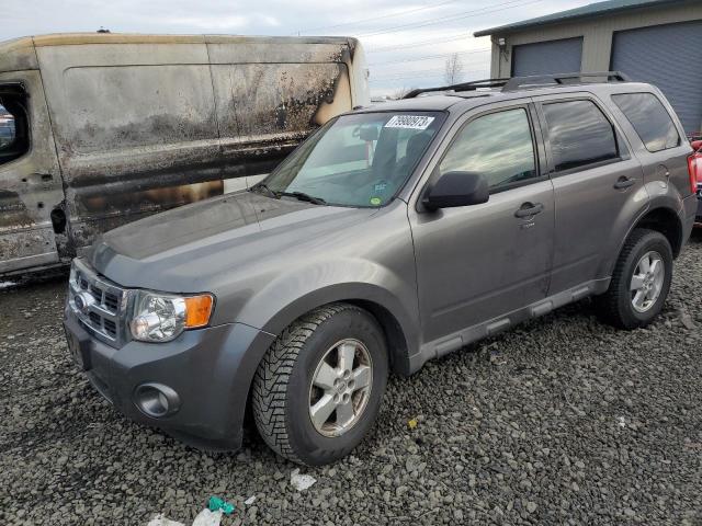 2010 FORD ESCAPE XLT, 