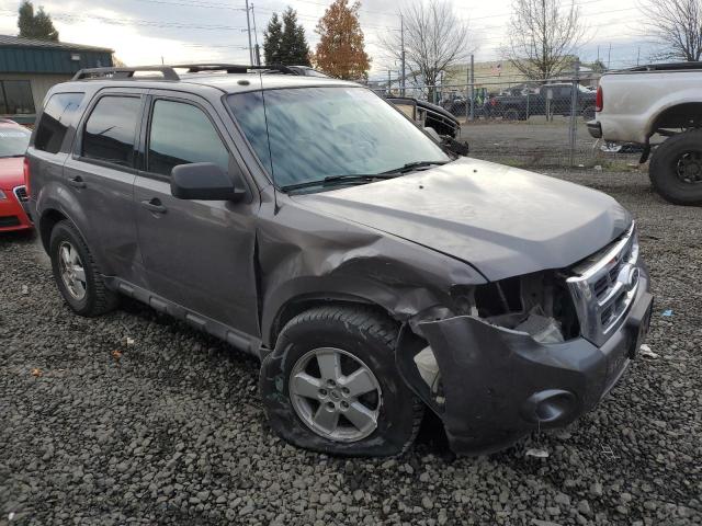 1FMCU9DG7AKC52973 - 2010 FORD ESCAPE XLT GRAY photo 4