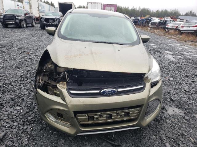 1FMCU0GX1DUD81775 - 2013 FORD ESCAPE SE GREEN photo 5