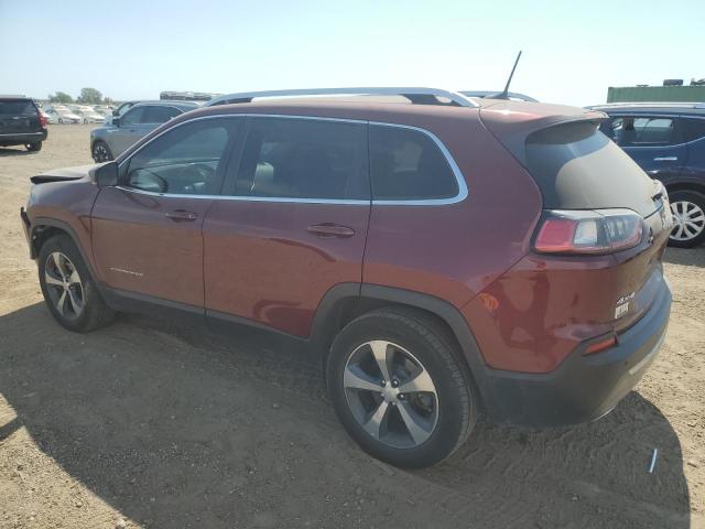 1C4PJMDX9KD198096 - 2019 JEEP CHEROKEE LIMITED 红色 照片 2