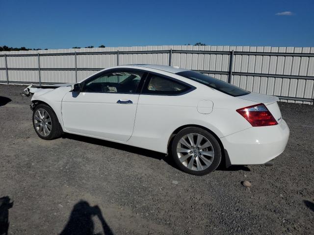 1HGCS22899A004854 - 2009 HONDA ACCORD EXL Ağ foto 2