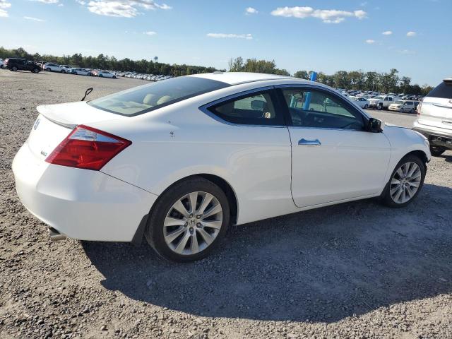 1HGCS22899A004854 - 2009 HONDA ACCORD EXL Ağ foto 3