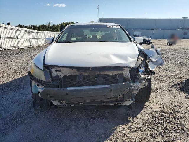 1HGCS22899A004854 - 2009 HONDA ACCORD EXL Ağ foto 5