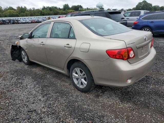 1NXBU4EE0AZ175783 - 2010 TOYOTA COROLLA BASE ბეჟი ფოტო 2
