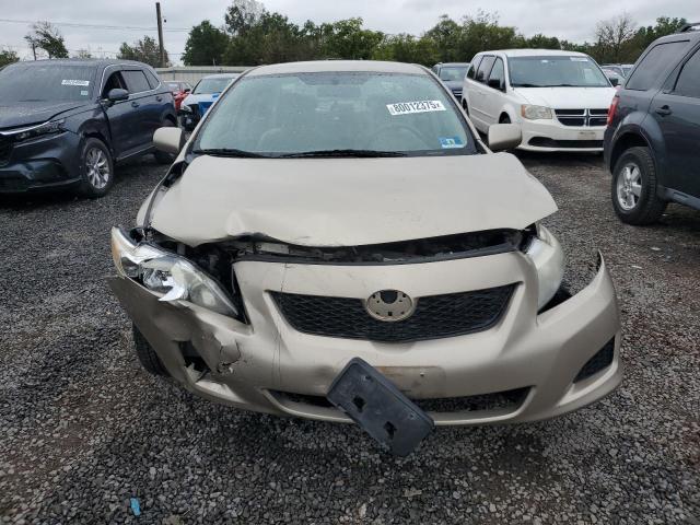 1NXBU4EE0AZ175783 - 2010 TOYOTA COROLLA BASE ბეჟი ფოტო 5