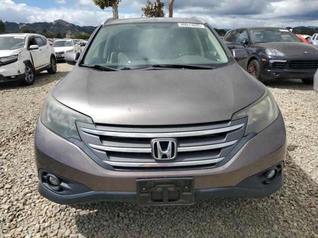 5J6RM4H71EL081787 - 2014 HONDA CR-V EXL BROWN photo 5