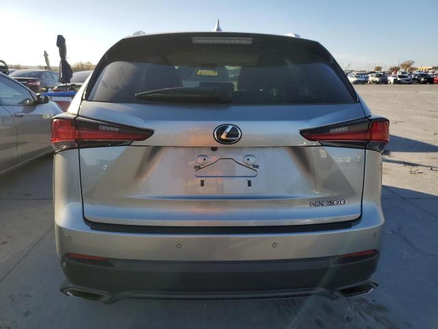 JTJYARBZ2J2096040 - 2018 LEXUS NX 300 BASE Boz foto 6