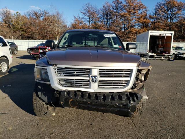 1D7RW3GK0AS155223 - 2010 DODGE DAKOTA SXT TAN photo 5