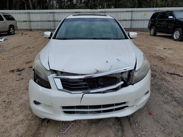 5KBCP36819B002430 - 2009 HONDA ACCORD EXL WHITE photo 5