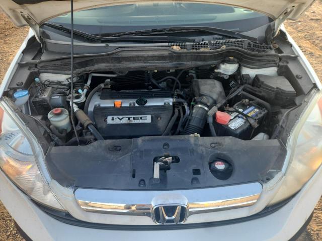 5J6RE48709L037248 - 2009 HONDA CR-V EXL WHITE photo 11