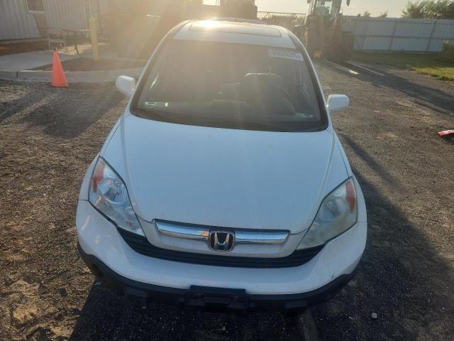5J6RE48709L037248 - 2009 HONDA CR-V EXL WHITE photo 5