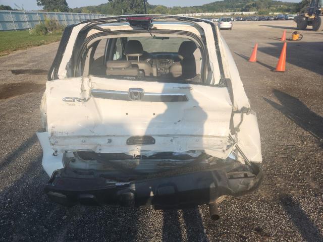 5J6RE48709L037248 - 2009 HONDA CR-V EXL WHITE photo 6