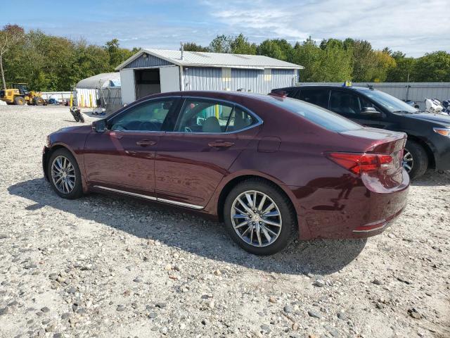 19UUB3F59FA000700 - 2015 ACURA TLX TECH BURGUNDY photo 2