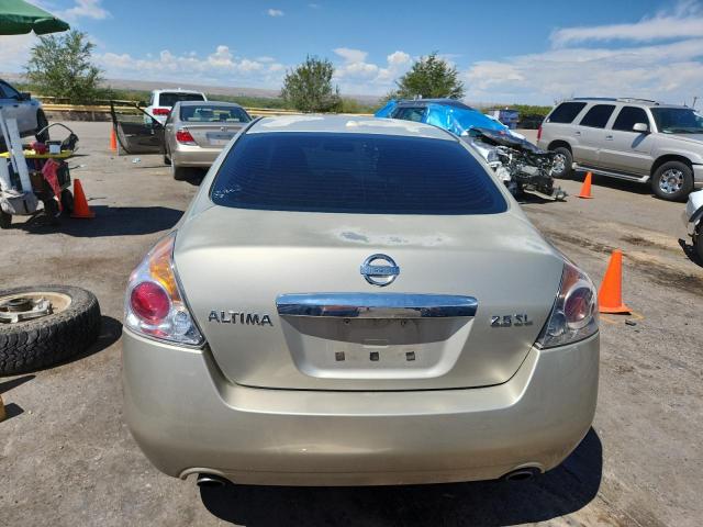 1N4AL2AP0AN538839 - 2010 NISSAN ALTIMA BASE GOLD photo 6