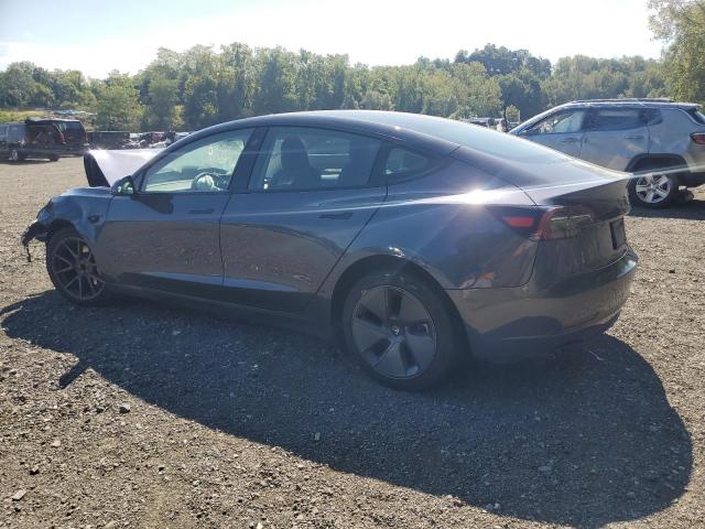5YJ3E1EA0PF684498 - 2023 TESLA MODEL 3 Сұр фото 2