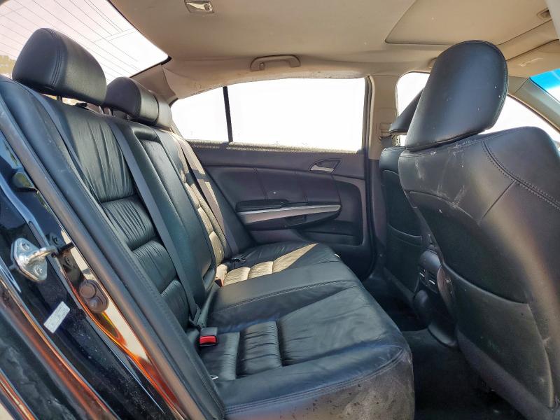 5KBCP3F88AB003465 - 2010 HONDA ACCORD EXL BLACK photo 10