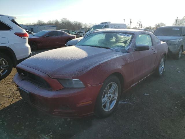 1ZVBP8AM2E5279804 - 2014 FORD MUSTANG RED photo 1