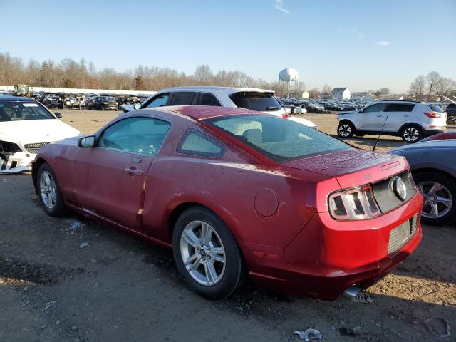 1ZVBP8AM2E5279804 - 2014 FORD MUSTANG RED photo 2