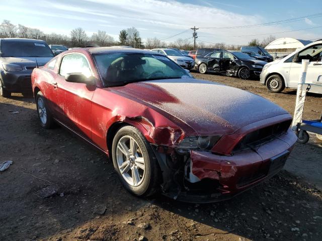 1ZVBP8AM2E5279804 - 2014 FORD MUSTANG RED photo 4