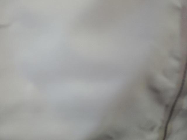 5YJSA1H16EFP52903 - 2014 TESLA MODEL S WHITE photo 10