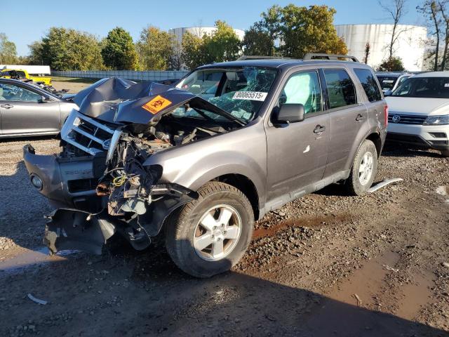 2012 FORD ESCAPE XLT, 