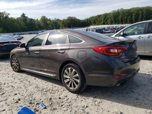 5NPE34AF5GH375404 - 2016 HYUNDAI SONATA SPORT 棕色 照片 2
