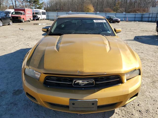 1ZVBP8AN6A5176209 - 2010 FORD MUSTANG GOLD photo 5