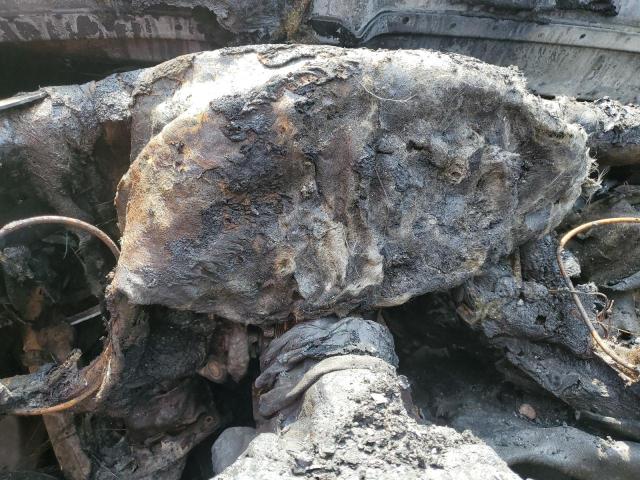 WVGHV3AX8EW539581 - 2014 VOLKSWAGEN TIGUAN S BLACK photo 9