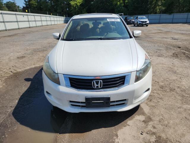 1HGCP367X8A019077 - 2008 HONDA ACCORD EX Ақ фото 5
