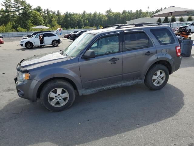 2011 FORD ESCAPE XLT, 