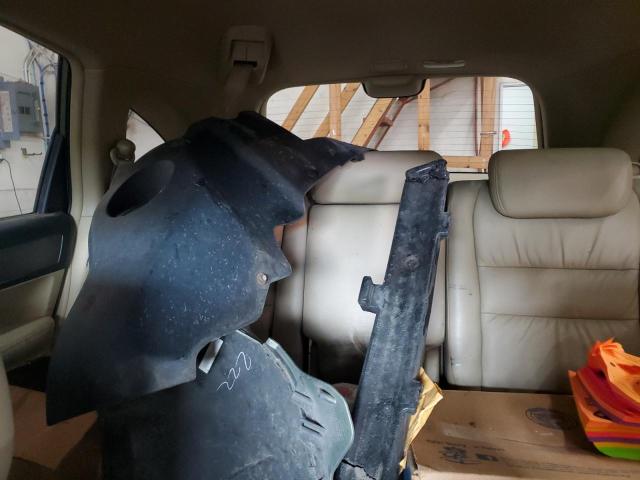 JHLRE487X8C046692 - 2008 HONDA CR-V EXL GREEN photo 10