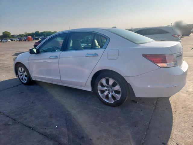1HGCP26839A084356 - 2009 HONDA ACCORD EXL WHITE photo 2