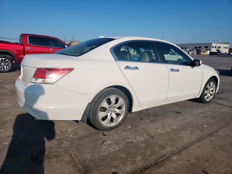 1HGCP26839A084356 - 2009 HONDA ACCORD EXL WHITE photo 3
