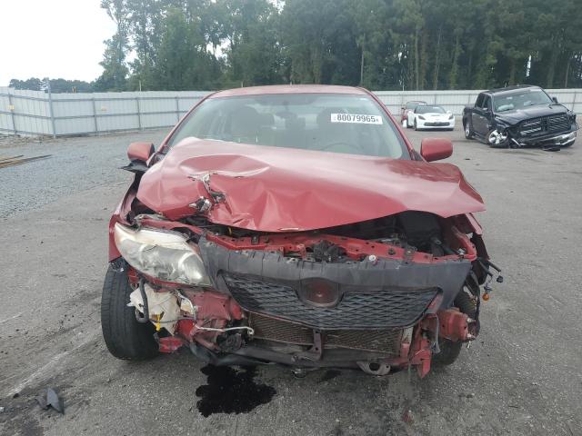 1NXBU4EE2AZ176465 - 2010 TOYOTA COROLLA BASE RED photo 5