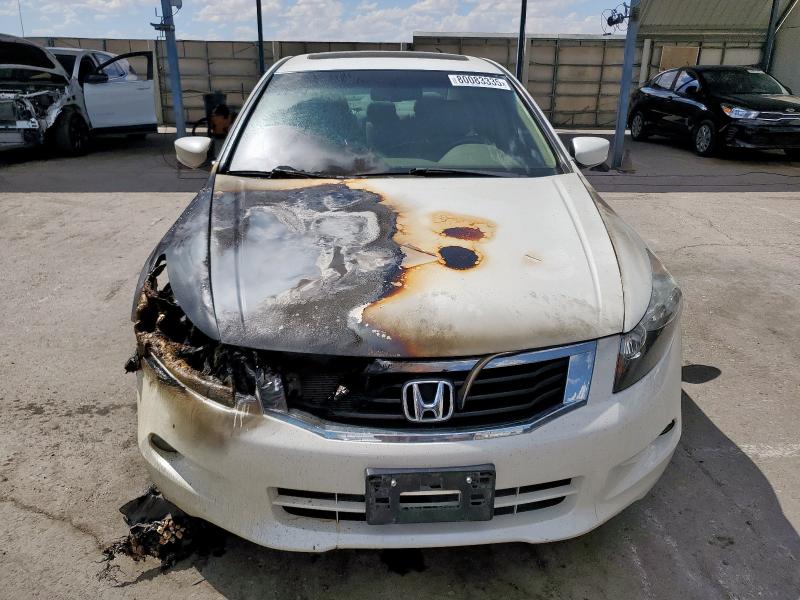 1HGCP36868A031560 - 2008 HONDA ACCORD EXL WHITE photo 5