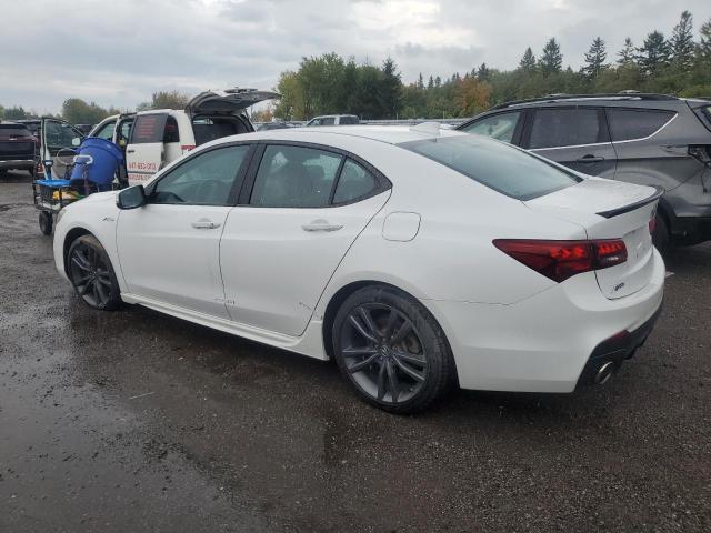 19UUB1F66KA801009 - 2019 ACURA TLX TECHNOLOGY თეთრი ფოტო 2