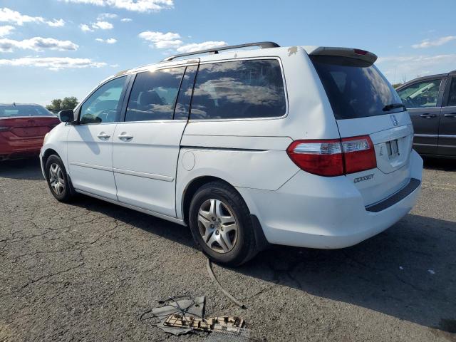 5FNRL38787B133120 - 2007 HONDA ODYSSEY EXL Ağ foto 2