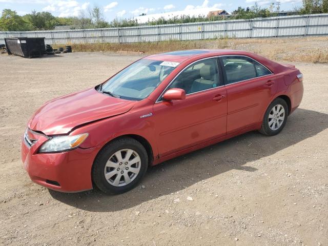 2009 TOYOTA CAMRY HYBRID, null