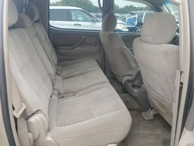5TBDT44175S481218 - 2005 TOYOTA TUNDRA DOUBLE CAB SR5 BEIGE photo 10