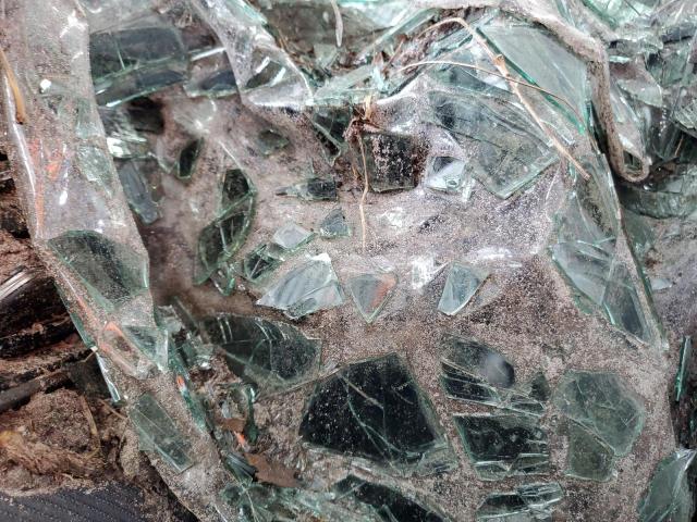 4T1DAACK3SU026472 - 2025 TOYOTA CAMRY XSE 蓝色 照片 9