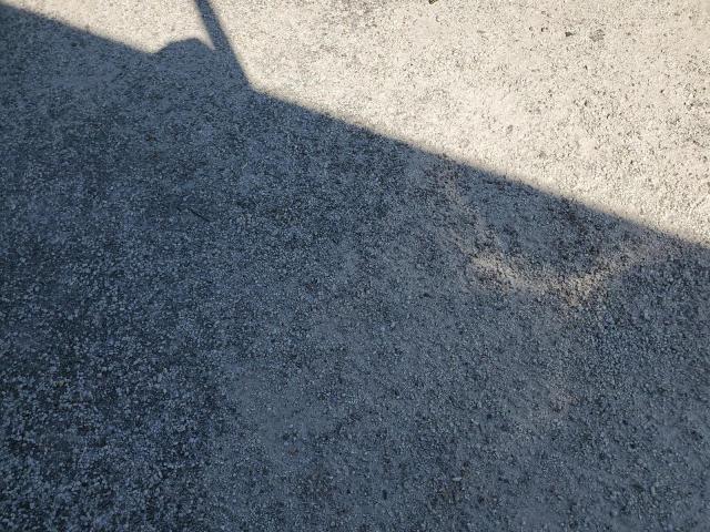 1N4BL4CV4SN310677 - 2025 NISSAN ALTIMA SR 黑色 照片 12