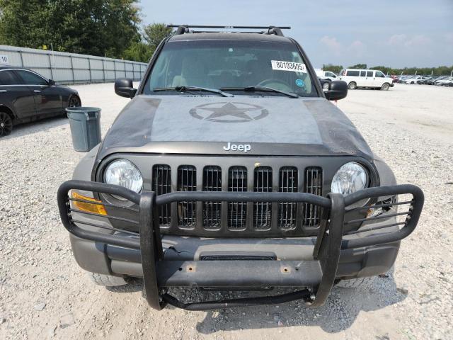 1J4GL38K46W191466 - 2006 JEEP LIBERTY RENEGADE Графитовый фото 5