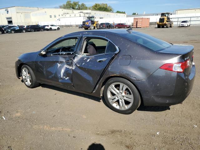 JH4CU4F63AC002201 - 2010 ACURA TSX GRAY photo 2