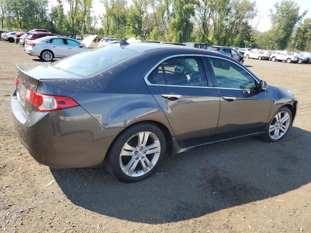 JH4CU4F63AC002201 - 2010 ACURA TSX GRAY photo 3